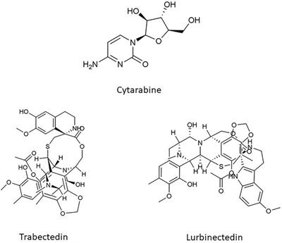 From seaside to bedside: Current evidence and future perspectives in the treatment of breast cancer using marine compounds